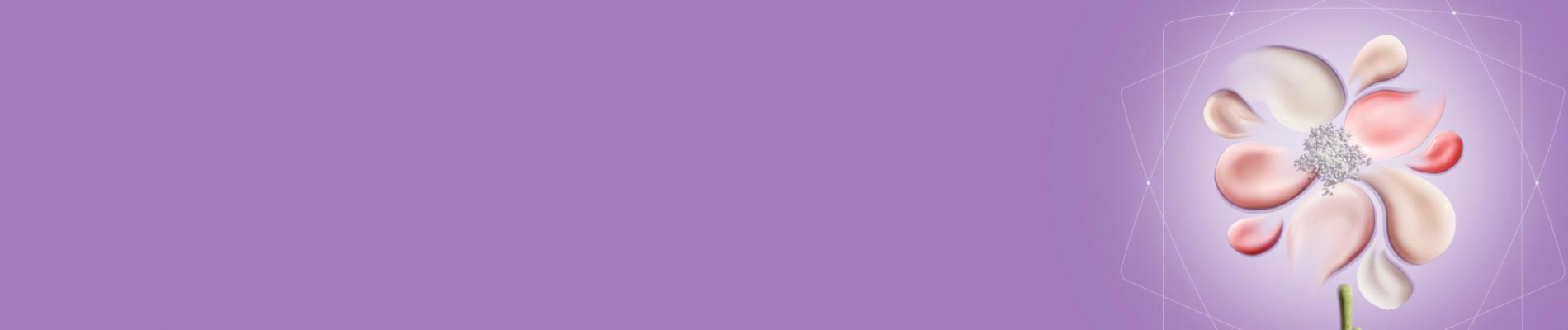 companies-component-bg