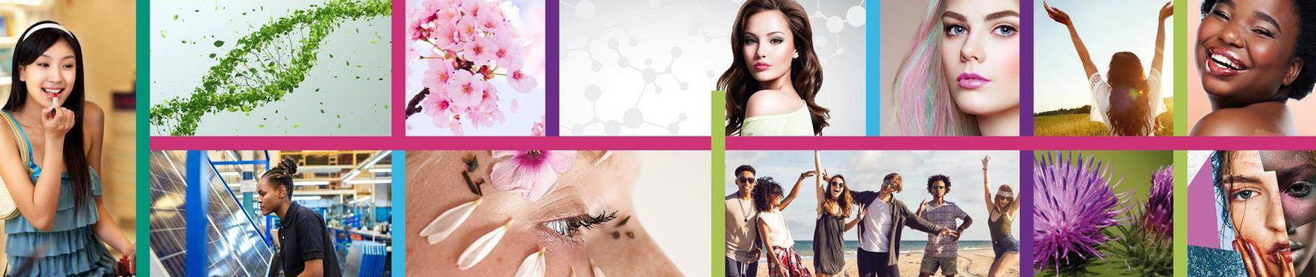 companies-component-bg
