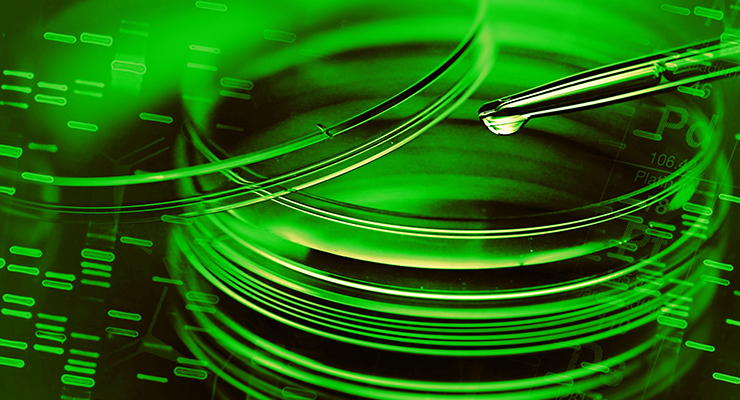 Apoena Biotech Produces Actives for Hygiene and Personal Care Applications