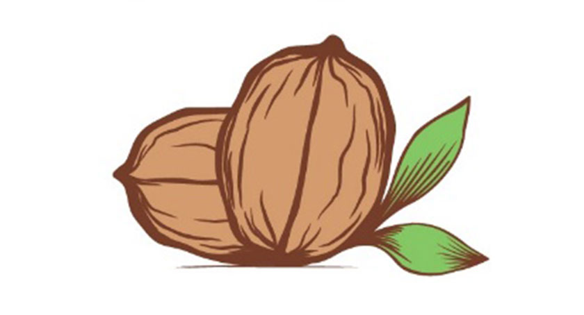 Eco-Shell Sustainable Components Ideal for Personal Care