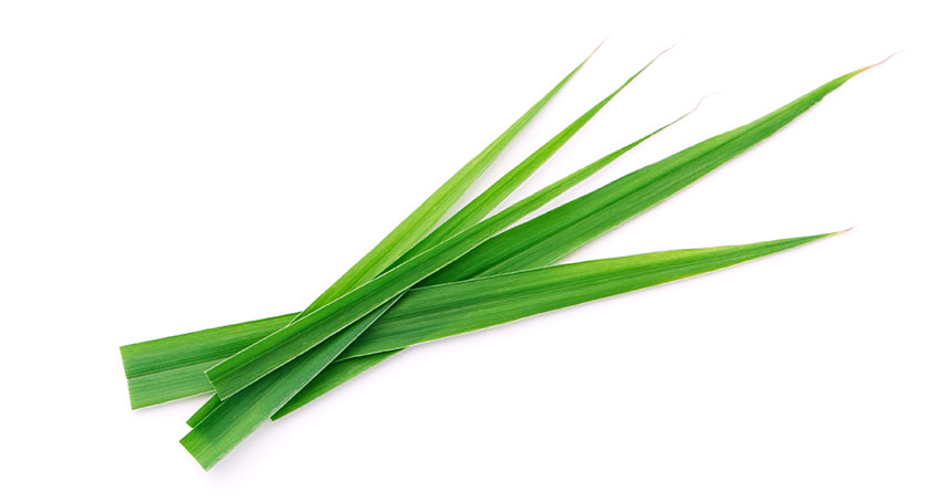 Ashland Creates Lemongrass Fresh Face Cleanser