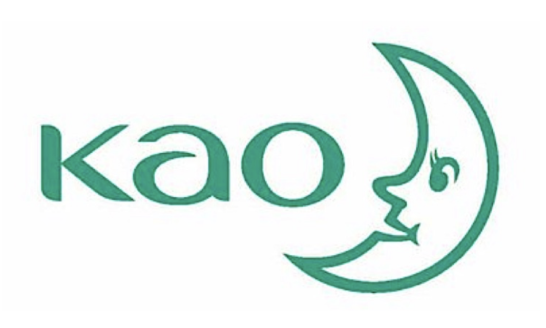 Kao Germany Patents Hair Styling Formula