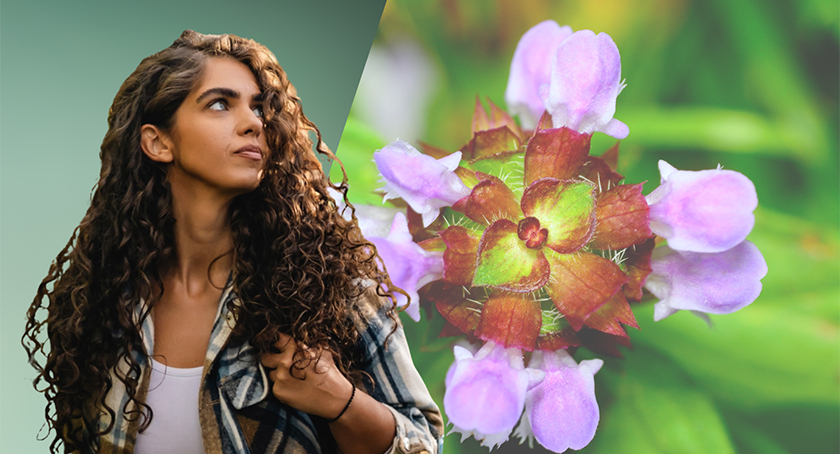 BASF Personal Care Launches Ameriflor Calm